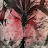 @Godwarriorwarsop
