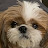 @치킨지코바