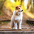 @user-jm16347