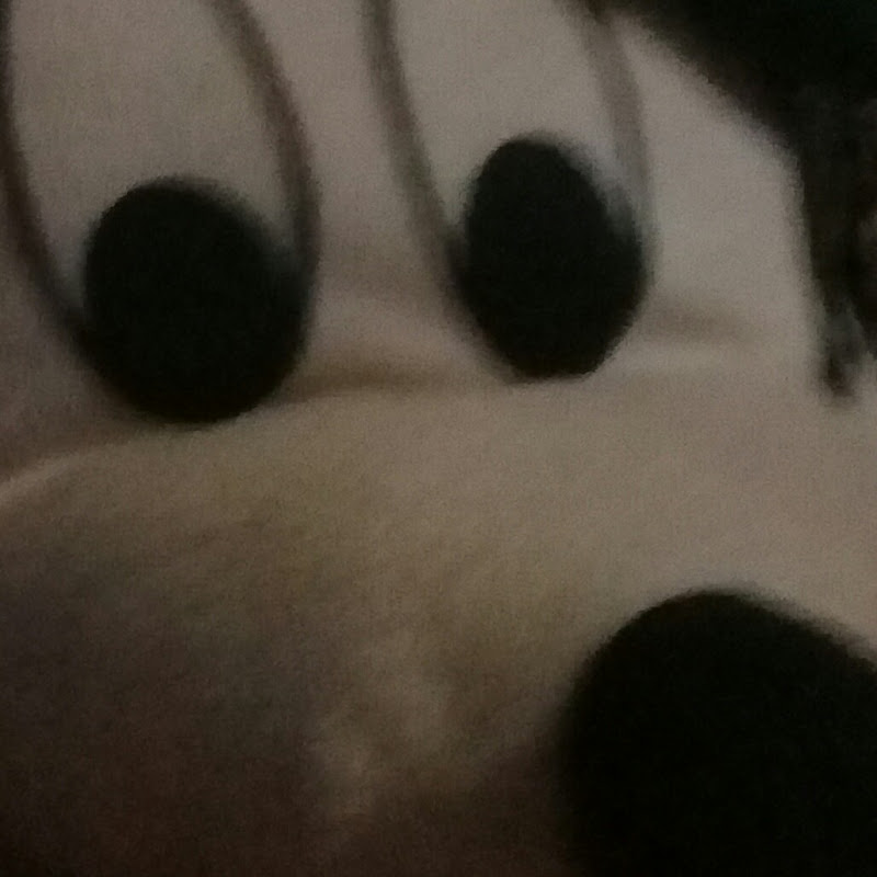 YOSOYUNAPERSONA