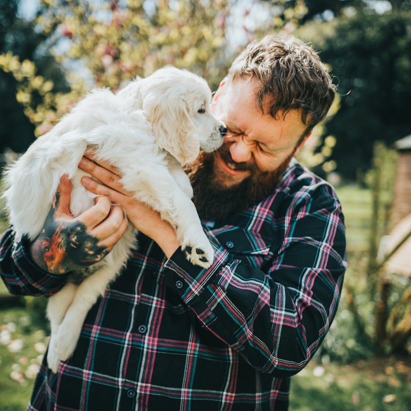 Will Atherton Canine Show