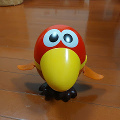 せらやんTVアイコン画像