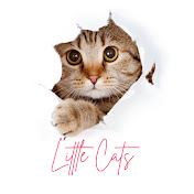 Little Cats