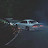 @organpuncher Avatar