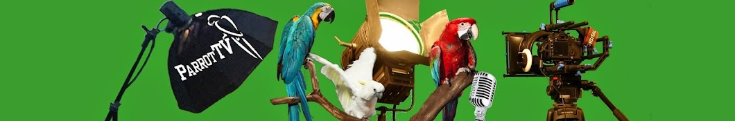 Parrot TV رمز قناة اليوتيوب