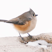 Wildlife & Nature Conservation Initiative