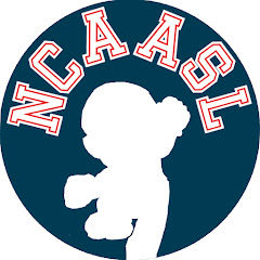 NCAA Sluggers League