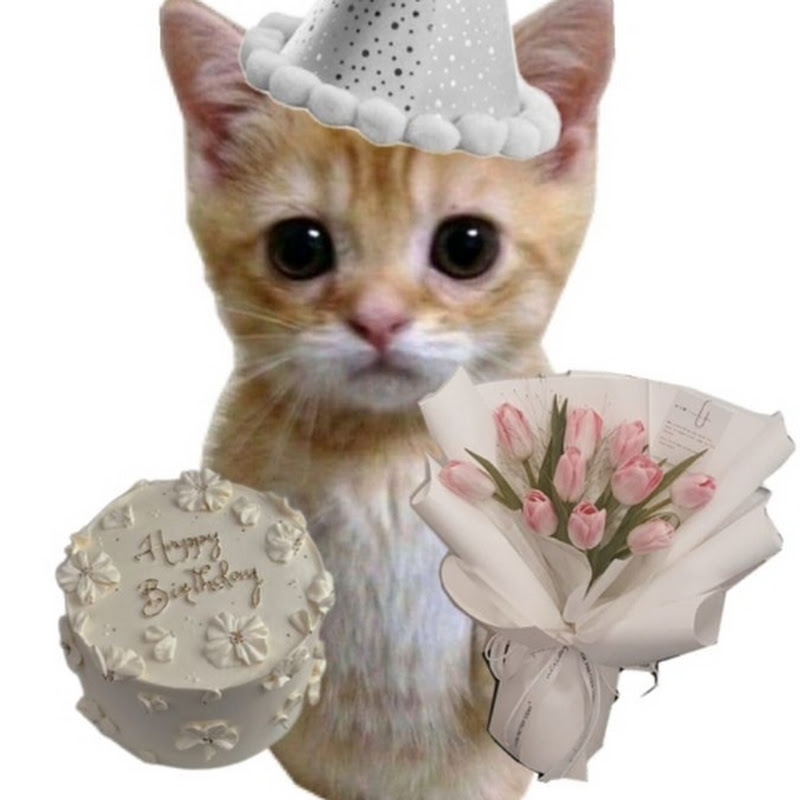 𝕮𝖆𝖒𝖎𝖑𝖑𝖆