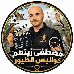 مصطفى زينهم | كواليس الطيور🦜