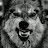 @bishop5166 Avatar