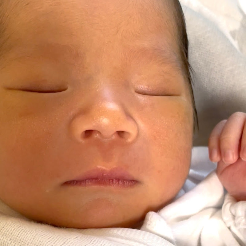 はらぺこあおちゃん日記