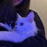 bzFjut8fyVY-channel-avatar-avey