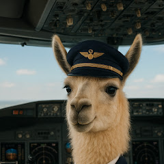 llamaso12