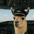 8rEroP4hRtw-channel-avatar-llamaso12