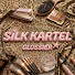 zBBui3fwLzM-channel-avatar-Silk Kartel Glossier