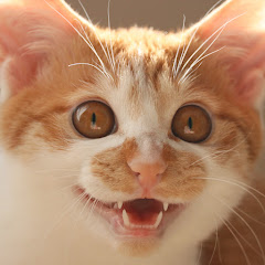 そな