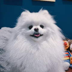 腳腳日記 JioJio's Days