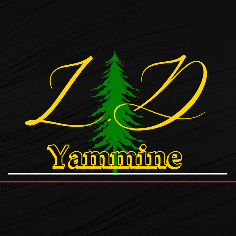 Channel Avatar