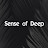 Sense of Deep Music