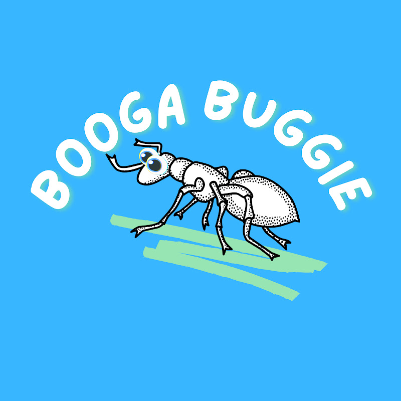 Booga Buggie Kids Stories