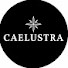 HDXv-TP5MO0-channel-avatar-The Caelustra