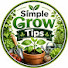 zT-eyhpv9dc-channel-avatar-Simple Grow Tips and 8 more