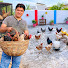cCsZ3tVzJQ8-channel-avatar-Jutt sab kay parinday!