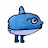 @molamola_sun_fish