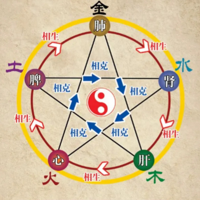 倪師精華講堂 Logo