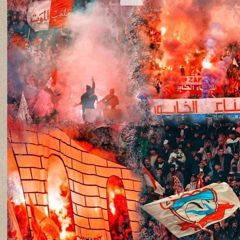 The best fans in the world 2025