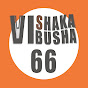 vishakabusha66
