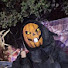 nPjX2L_lkp8-channel-avatar-Pumpkin man