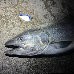 MINIC Michigan Fishing