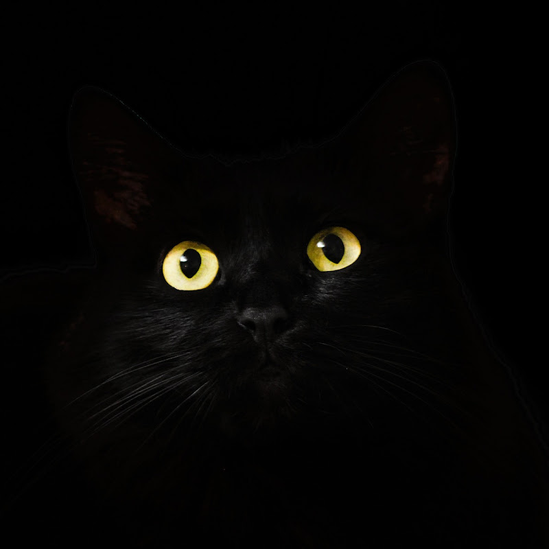 Tara
