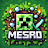 MESRO_MCP