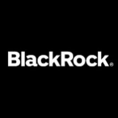 BlackRock Deutschlandアイコン画像