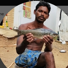 fishing macha
