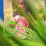 9Bl7jVDi9KQ-channel-avatar-Nature's girl