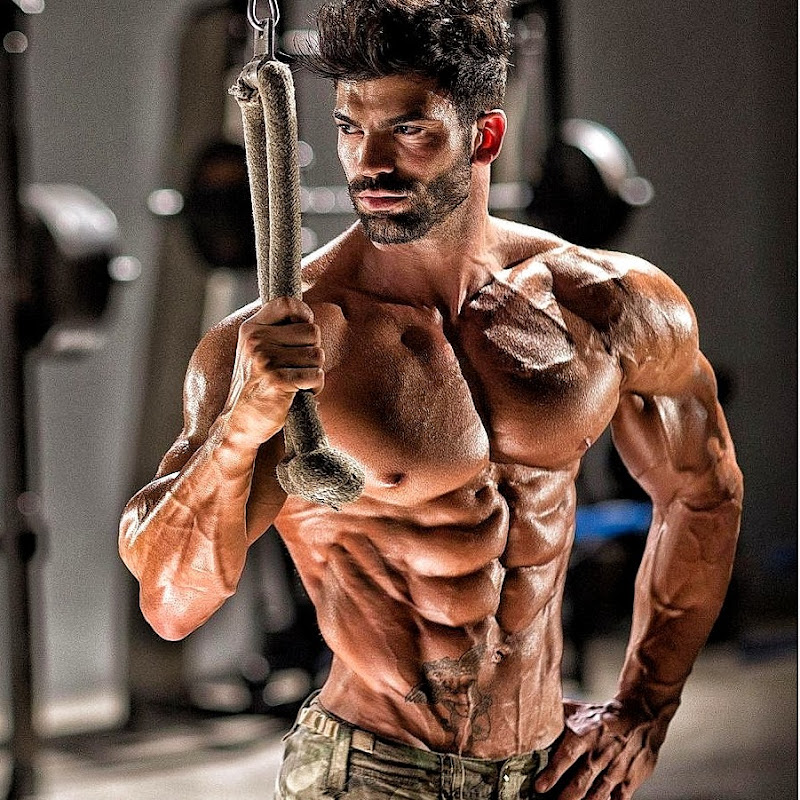 Daily Dose of bodybuilding