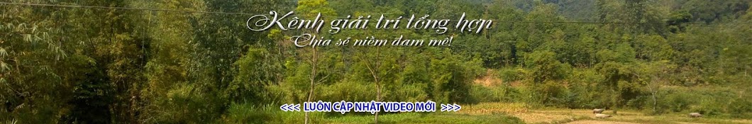 Trá»‹nh Ngá»c á»¨ng Avatar canale YouTube 