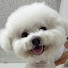 iJOSulQ1Pkg-channel-avatar-백일동