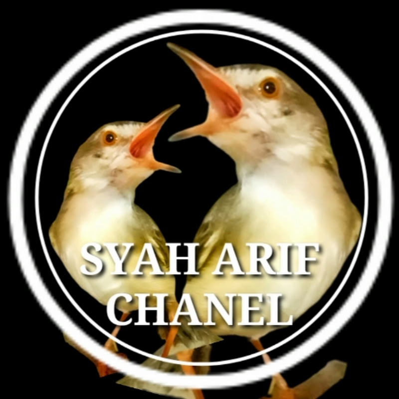 Syah Arif