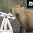 Space_capybara_roblox