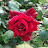 @yellow_j2ah813