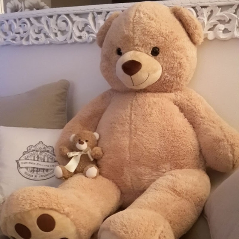 Teddy