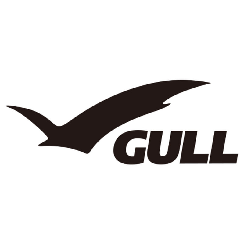 GULL DIVING
