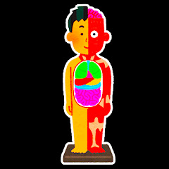 知ってると得する人体雑学【ゆっくり解説】アイコン画像