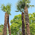IxSMKlkSSu0-channel-avatar-Park n Walk
