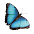 l0ApdI2kS4Q-channel-avatar-Lousje & Bean Boutique