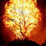 At38inCIA24-channel-avatar-Kingdom of  Christ